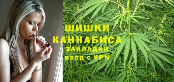 гидропоника Верея