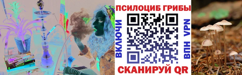 Галлюциногенные грибы мухоморы  как найти   Новоржев 